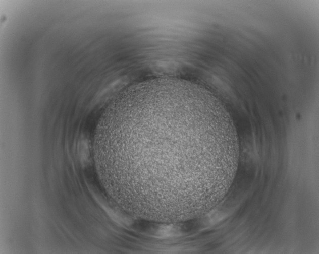 X0000062930130200601181319