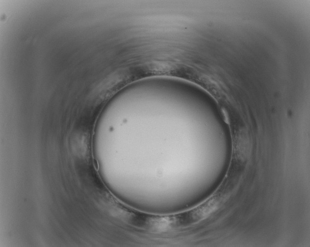 X0000062930131200601181319