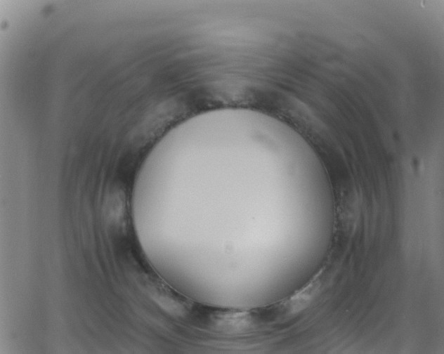 X0000062930132200601181319