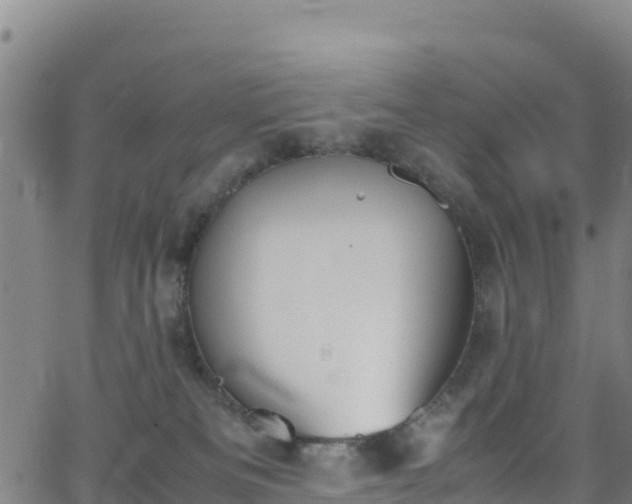 X0000062930133200601181319