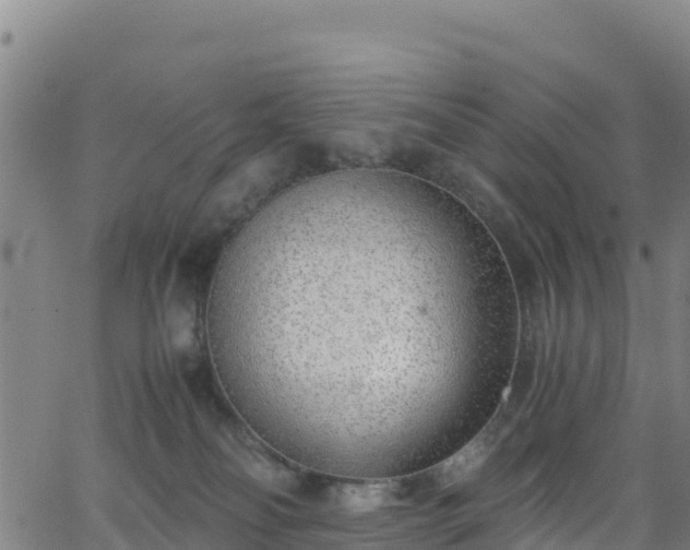 X0000062930134200601181319