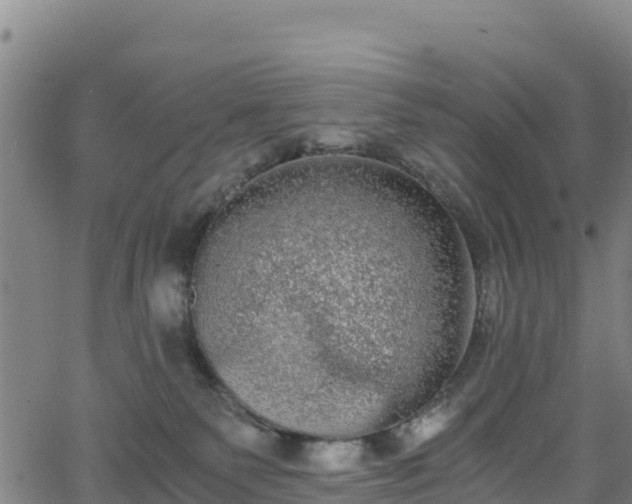 X0000062930135200601181319