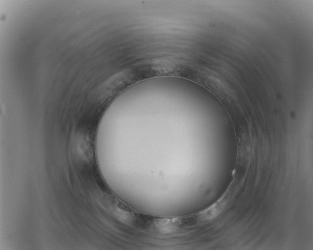 X0000062930136200601181319