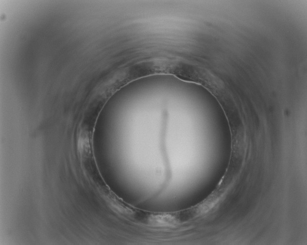 X0000062930137200601181319