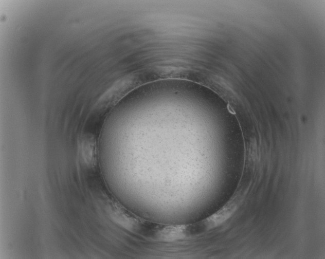 X0000062930138200601181319