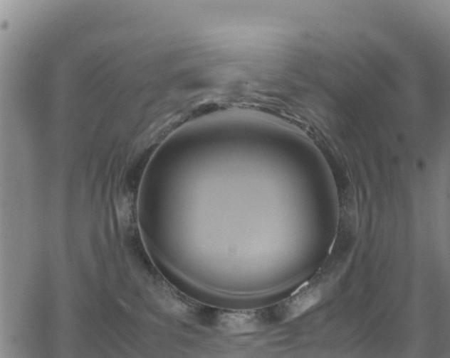 X0000062930139200601181319