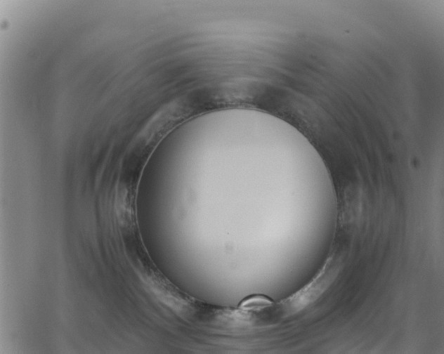 X0000062930140200601181319