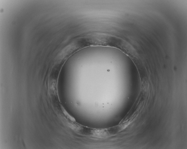 X0000062930141200601181319