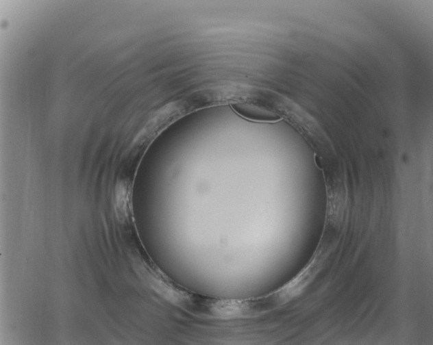 X0000062930142200601181319