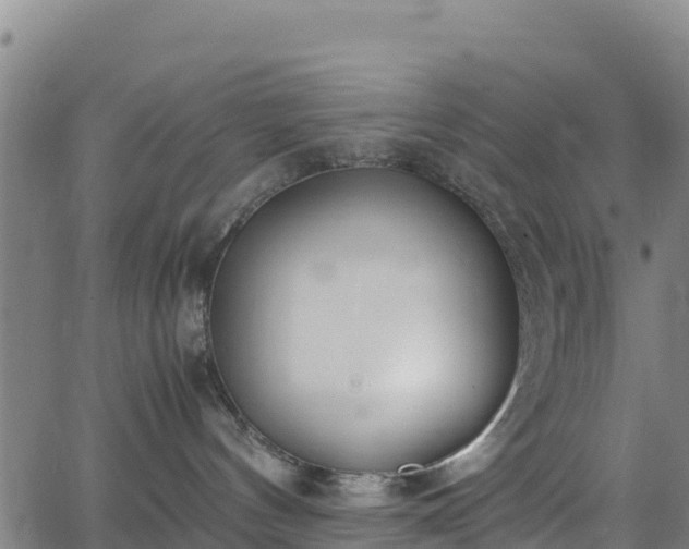 X0000062930144200601181319