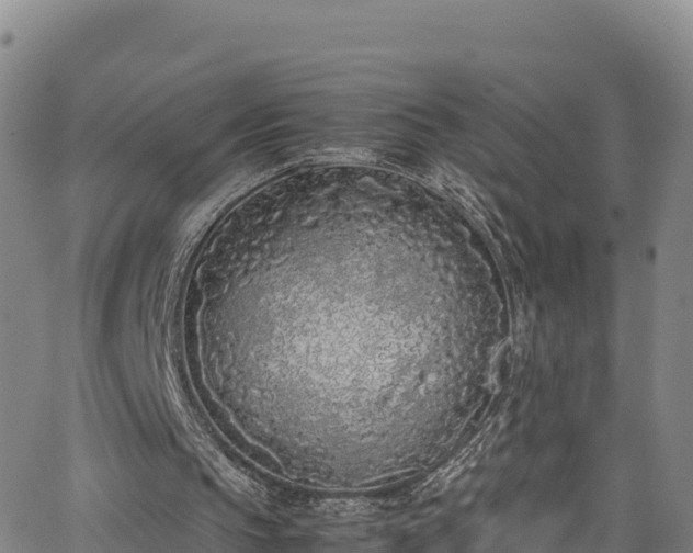 X0000062930145200601181318