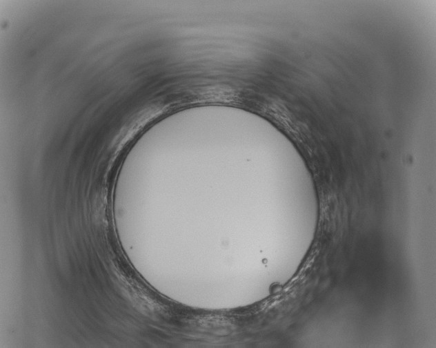 X0000062930146200601181318