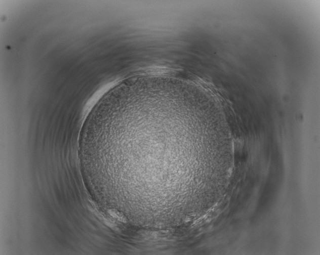 X0000062930147200601181318