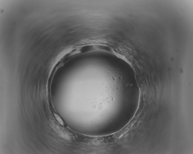 X0000062930148200601181318