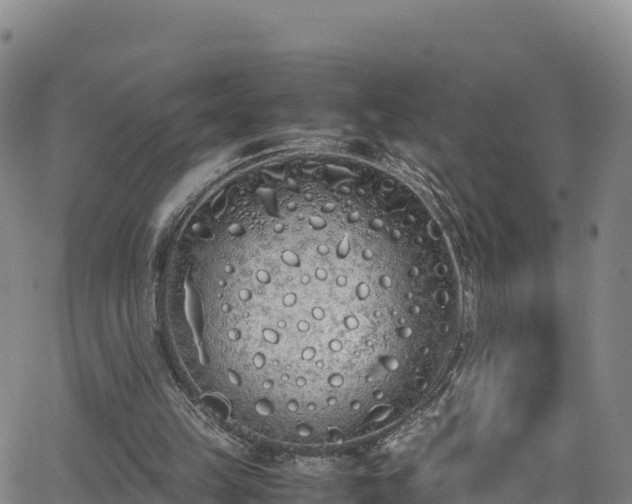 X0000062930149200601181318