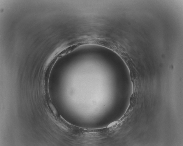 X0000062930150200601181318