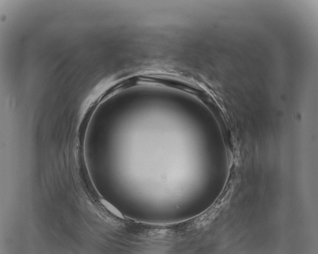 X0000062930152200601181318