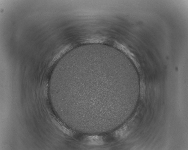 X0000062930153200601181318