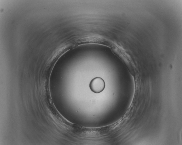 X0000062930154200601181318