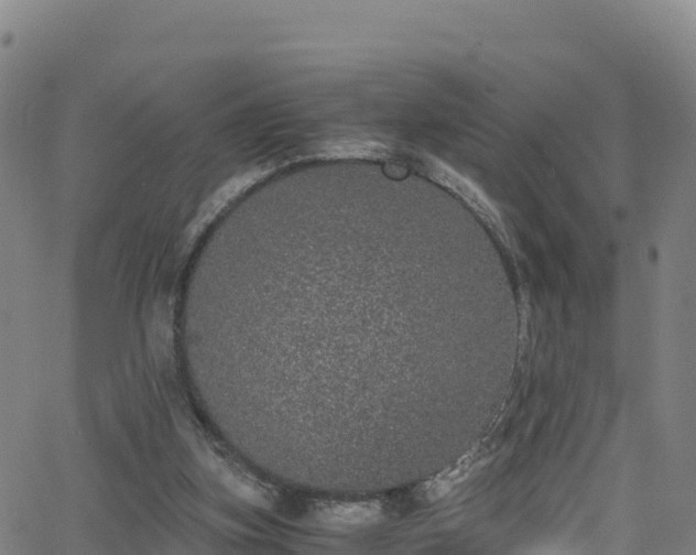 X0000062930155200601181318