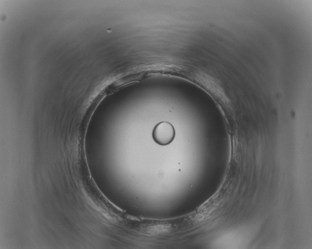 X0000062930156200601181318