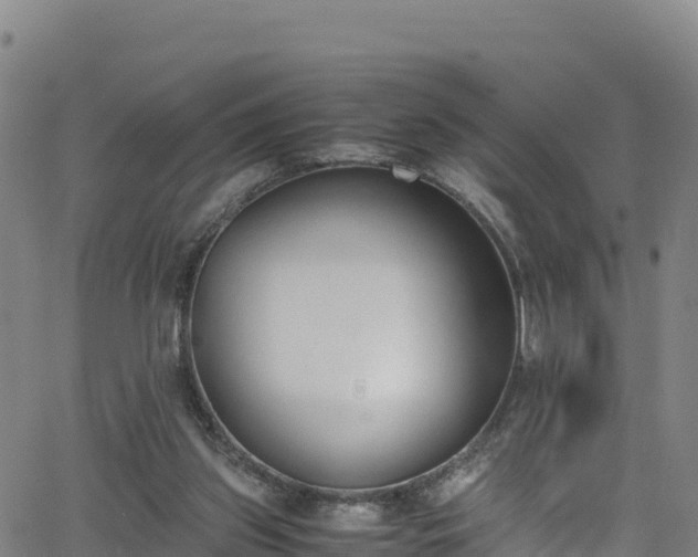 X0000062930157200601181318