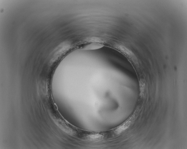 X0000062930158200601181318