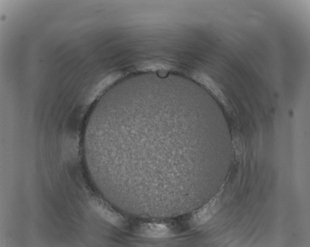 X0000062930159200601181318