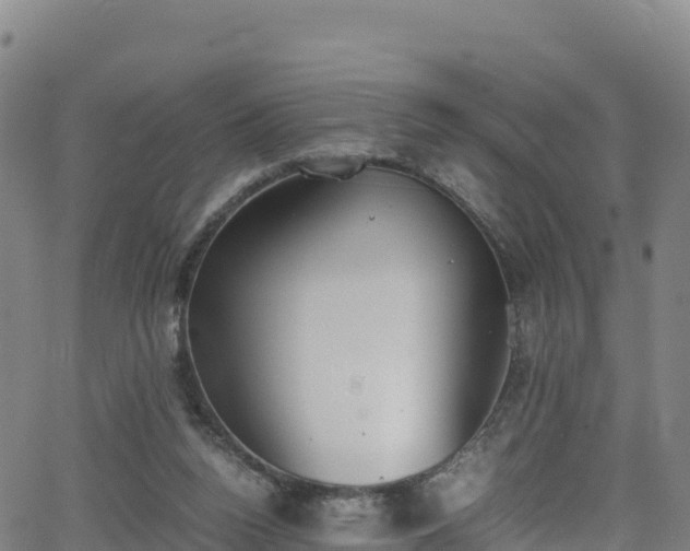 X0000062930160200601181318