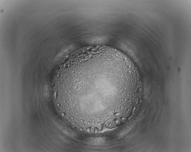 X0000062930161200601181318