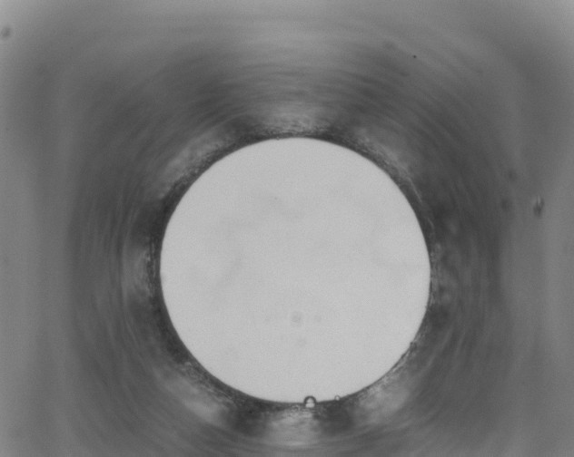 X0000062930162200601181318