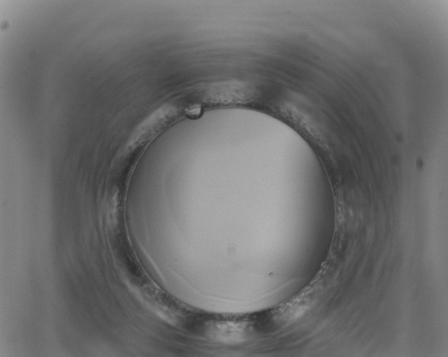 X0000062930163200601181318