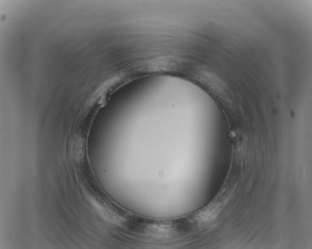 X0000062930164200601181318