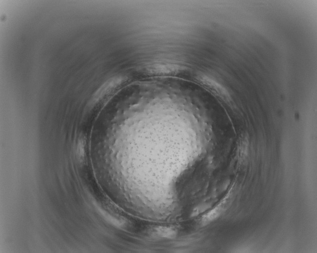 X0000062930166200601181318