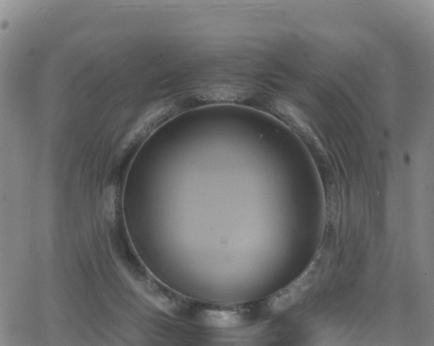 X0000062930167200601181318