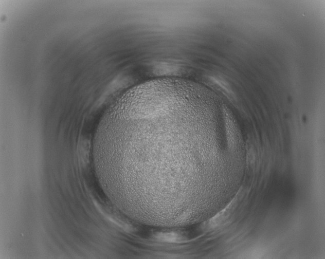 X0000062930171200601181318