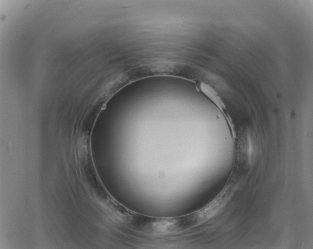 X0000062930172200601181318