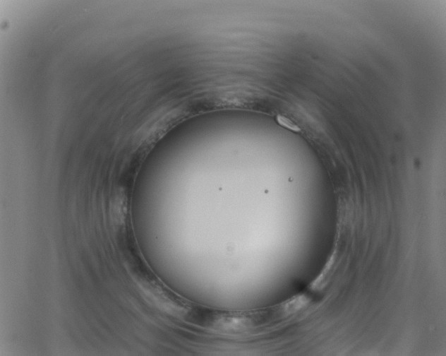 X0000062930174200601181319