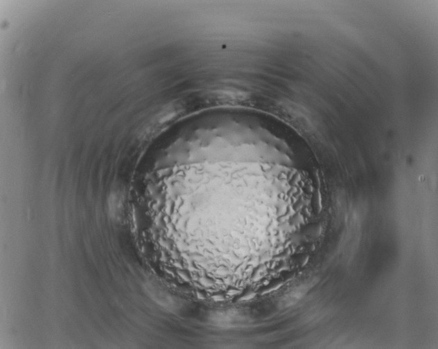 X0000062930177200601181319