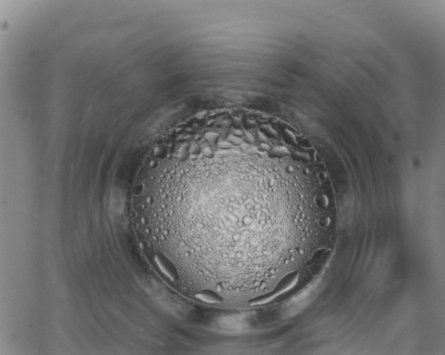 X0000062930178200601181319