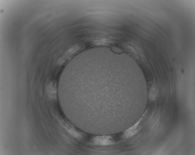 X0000062930179200601181319