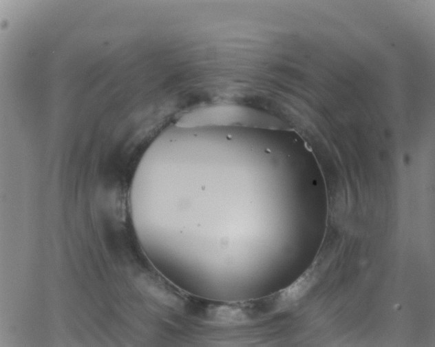 X0000062930180200601181319