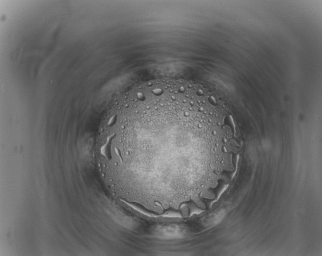 X0000062930181200601181319