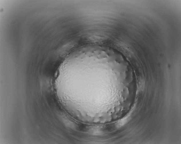 X0000062930182200601181319