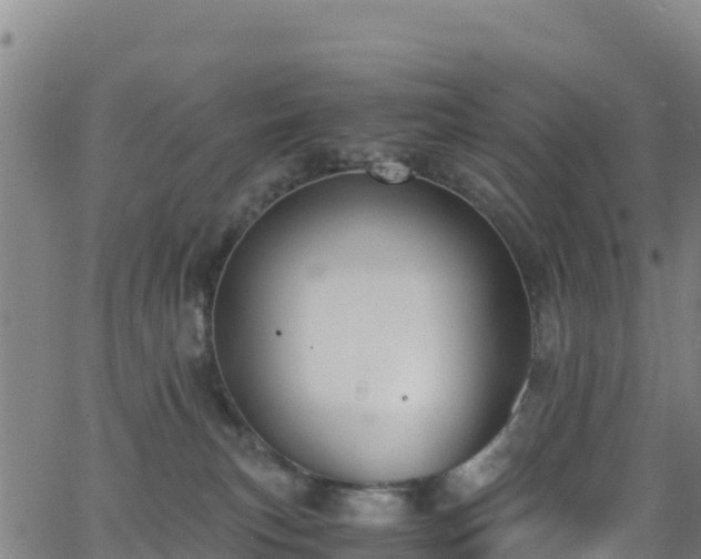 X0000062930183200601181319