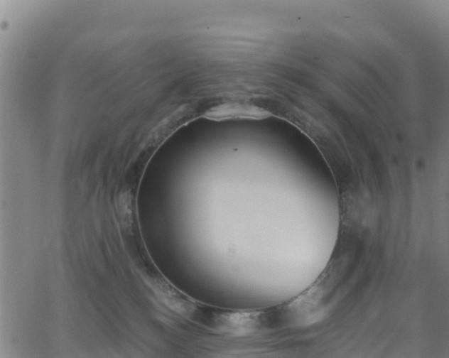 X0000062930184200601181319