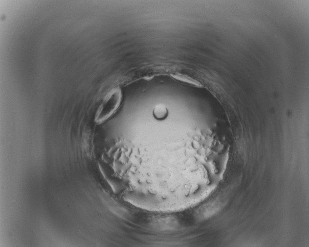 X0000062930185200601181319