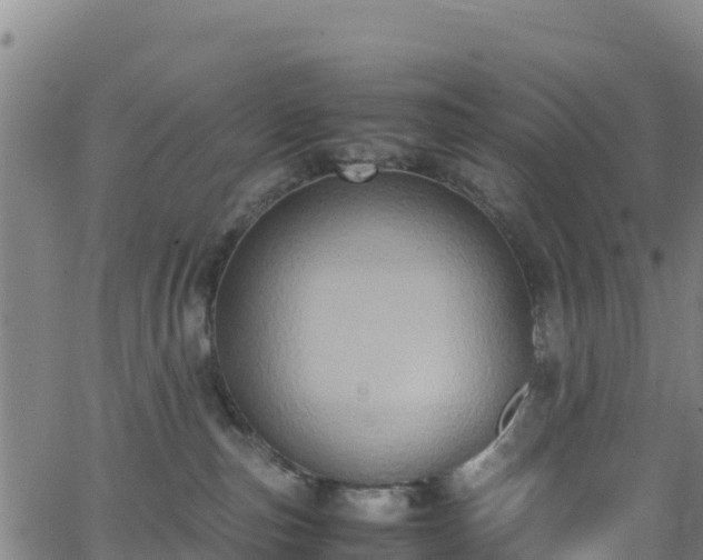 X0000062930187200601181319