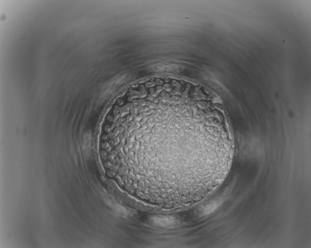 X0000062930189200601181319