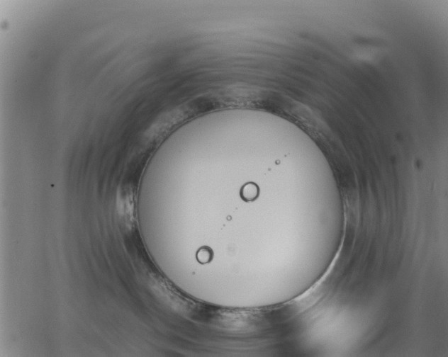 X0000062930190200601181319